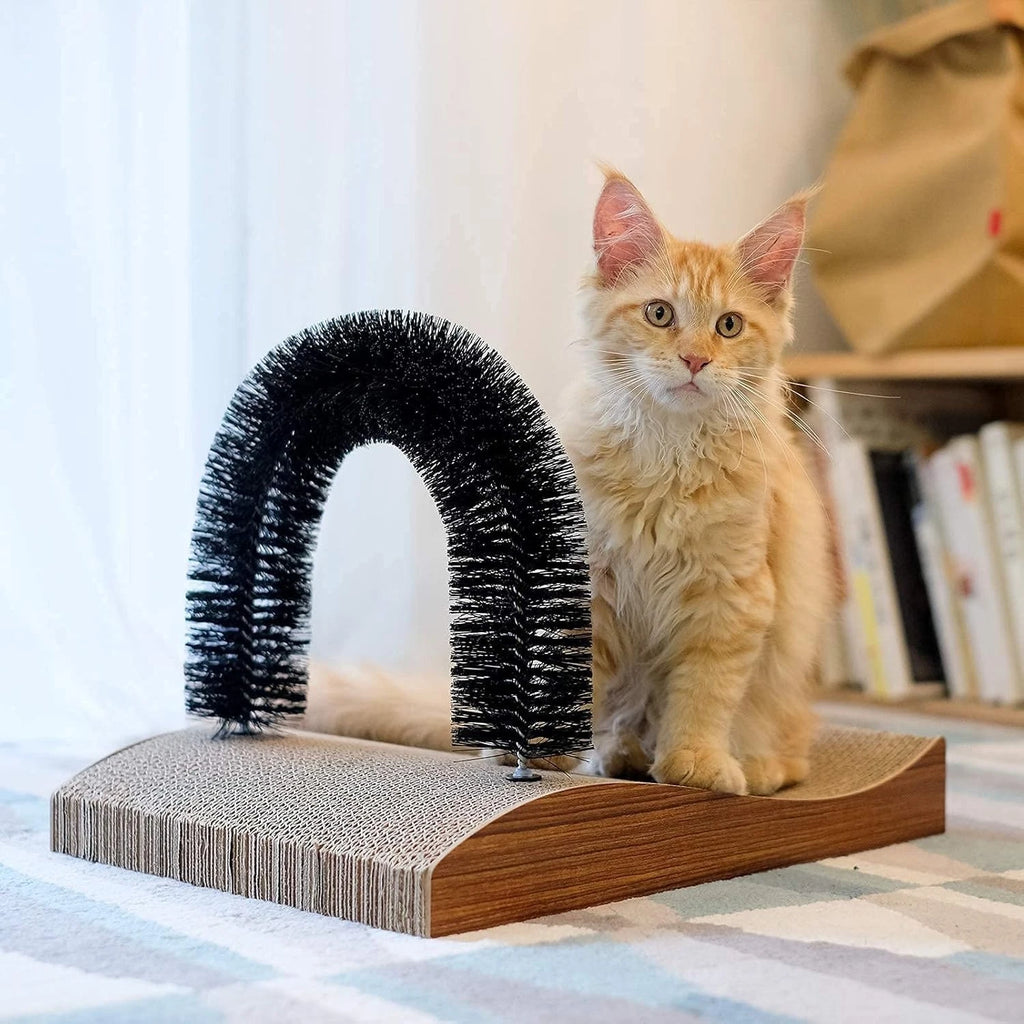 Cat Grooming Massager and Scratcher for Kittens and Small Dogs