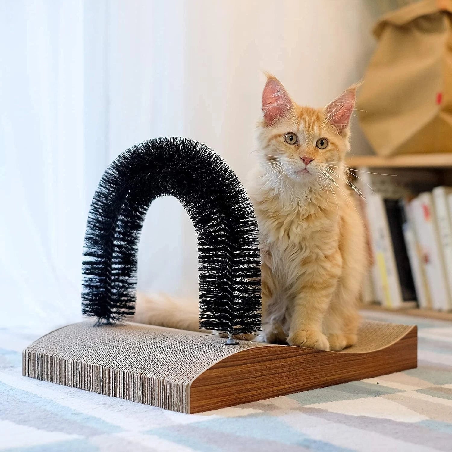 Cat Grooming Massager and Scratcher for Kittens and Small Dogs
