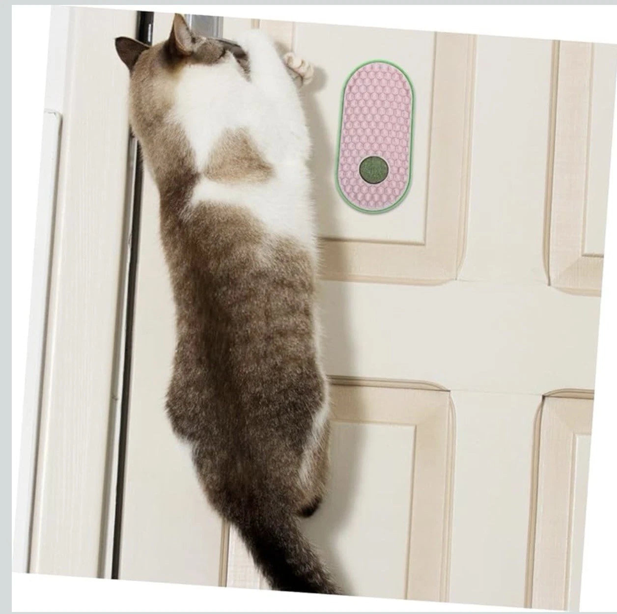 2pcs Wall Sticky Licking Ball Toys Wall Self Massage Comb Scratchers for