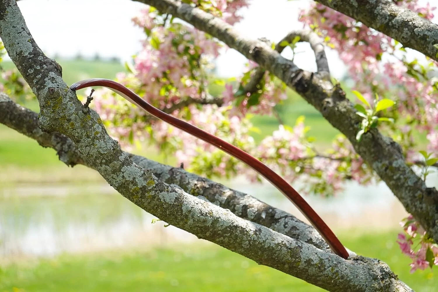 "Oversized 18-Inch Curved Wooden Back Scratcher – Extended Reach – Free and Ship