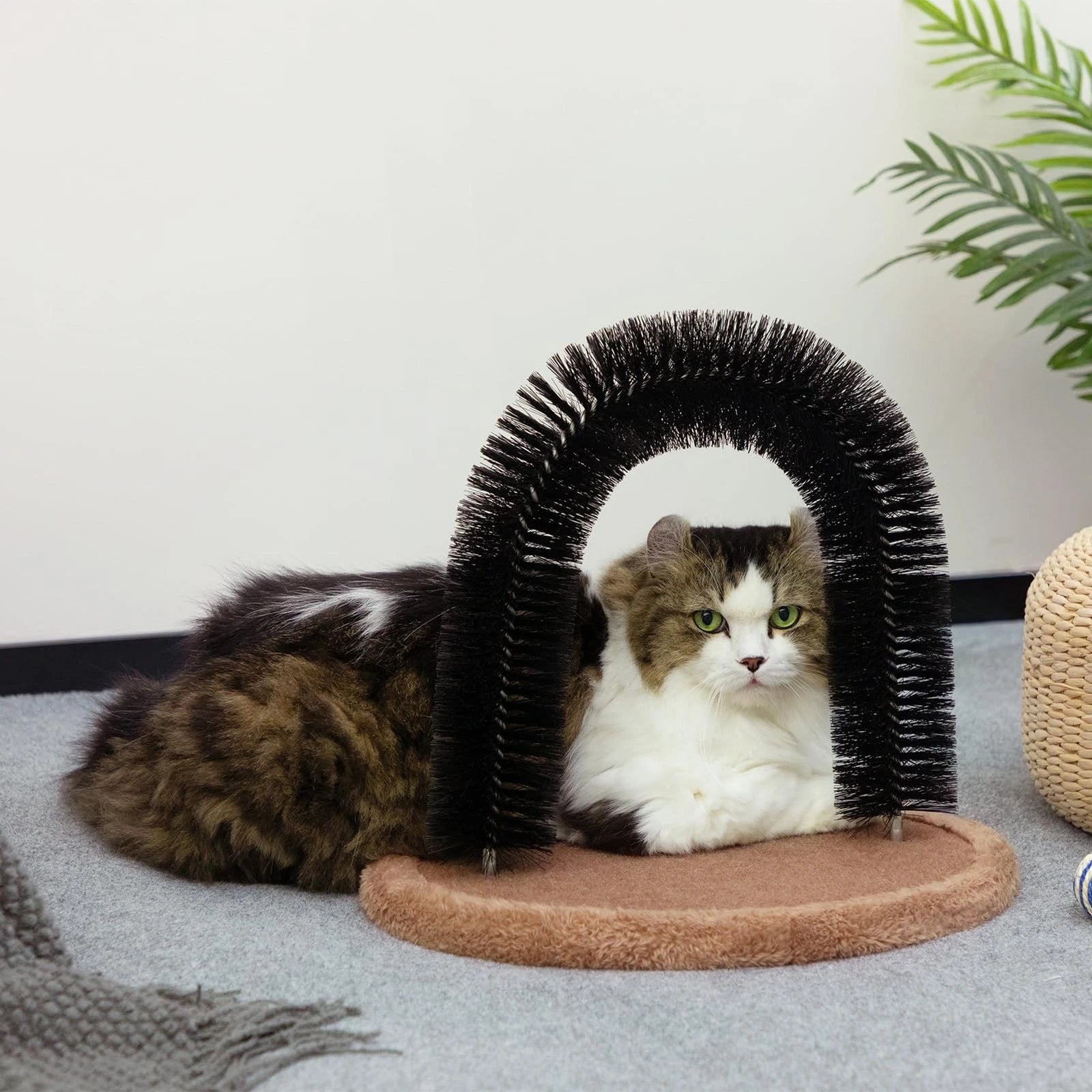 Self Grooming Massager and Scratcher Toy - Cat Arch Brush for Back Grooming, ...