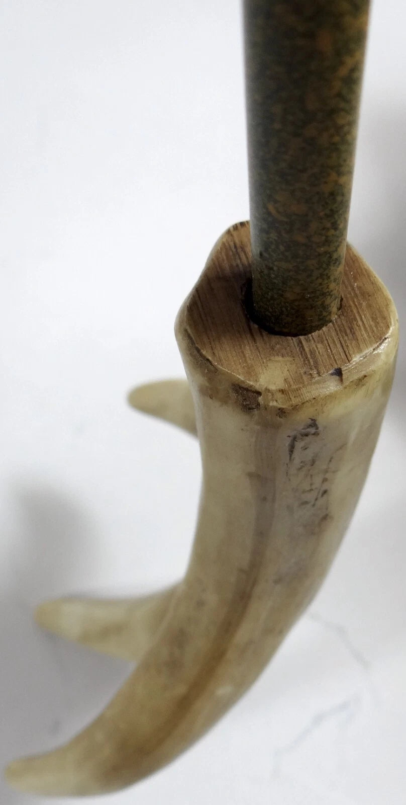 Back Scratcher Faux Antler Rivers Edge Leather Strap Northwoods Cabin Hunting