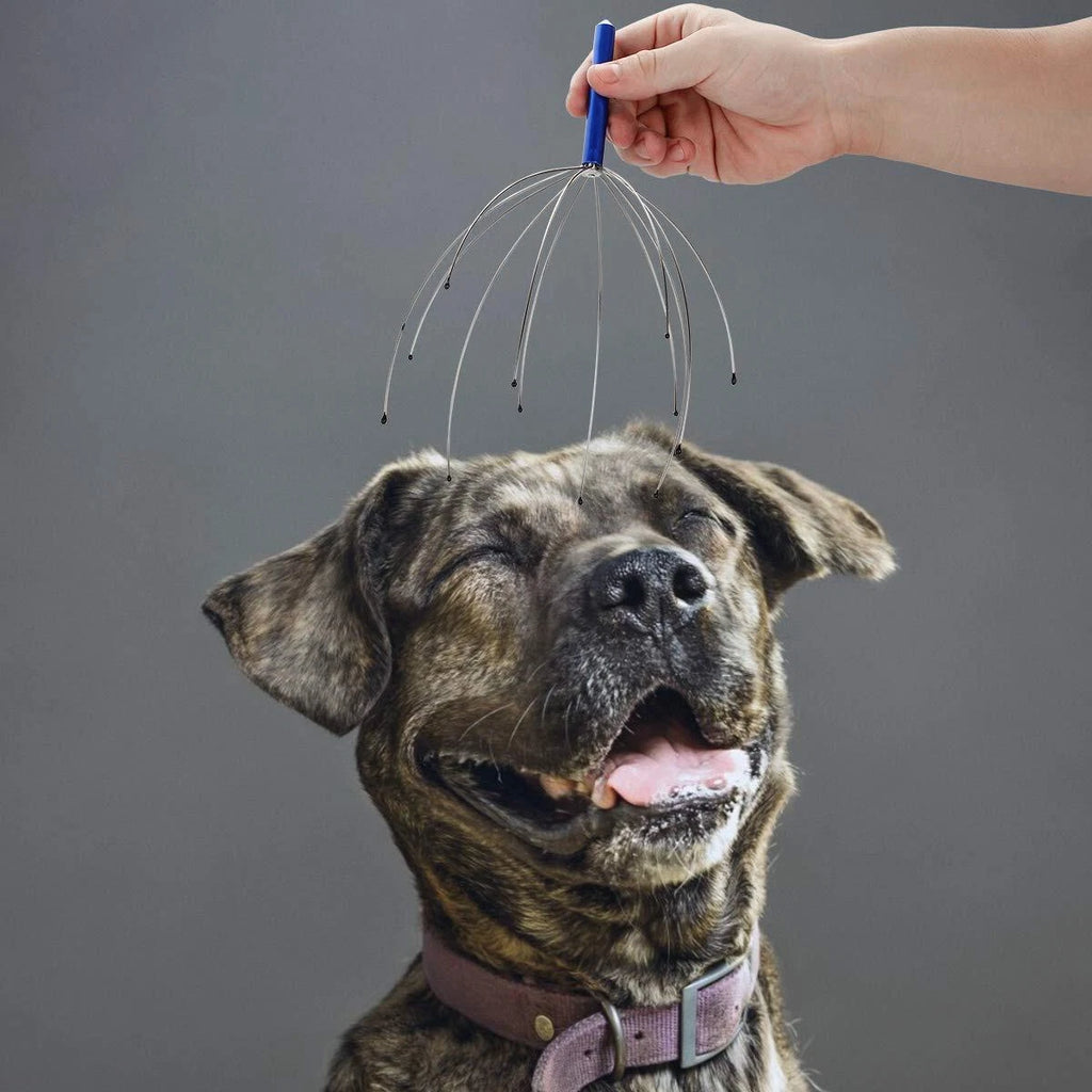 4Pk Handheld Scalp Massager Head Scratcher for Deep Relaxation Hair Stimulation