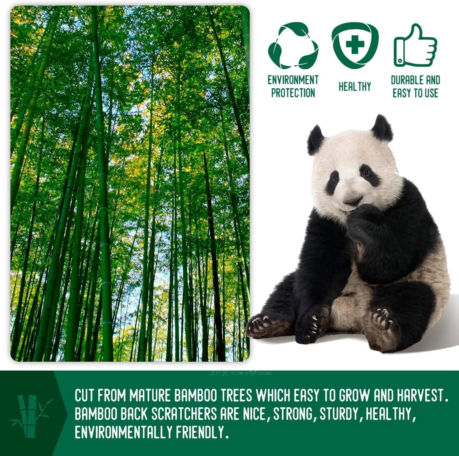 Natural Bamboo Back Scratcher Set - Thoughtful Gift for Instant Itch Relief