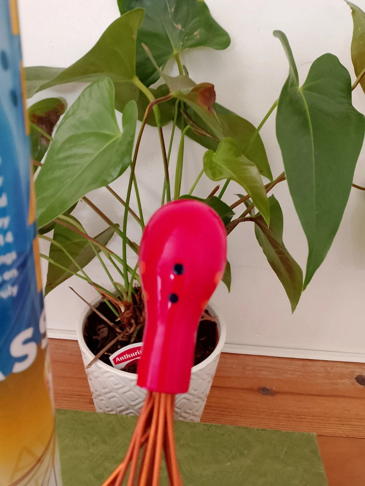 Head Wizard - Novelty Scalp Massager Scratcher - Heavens Therapy