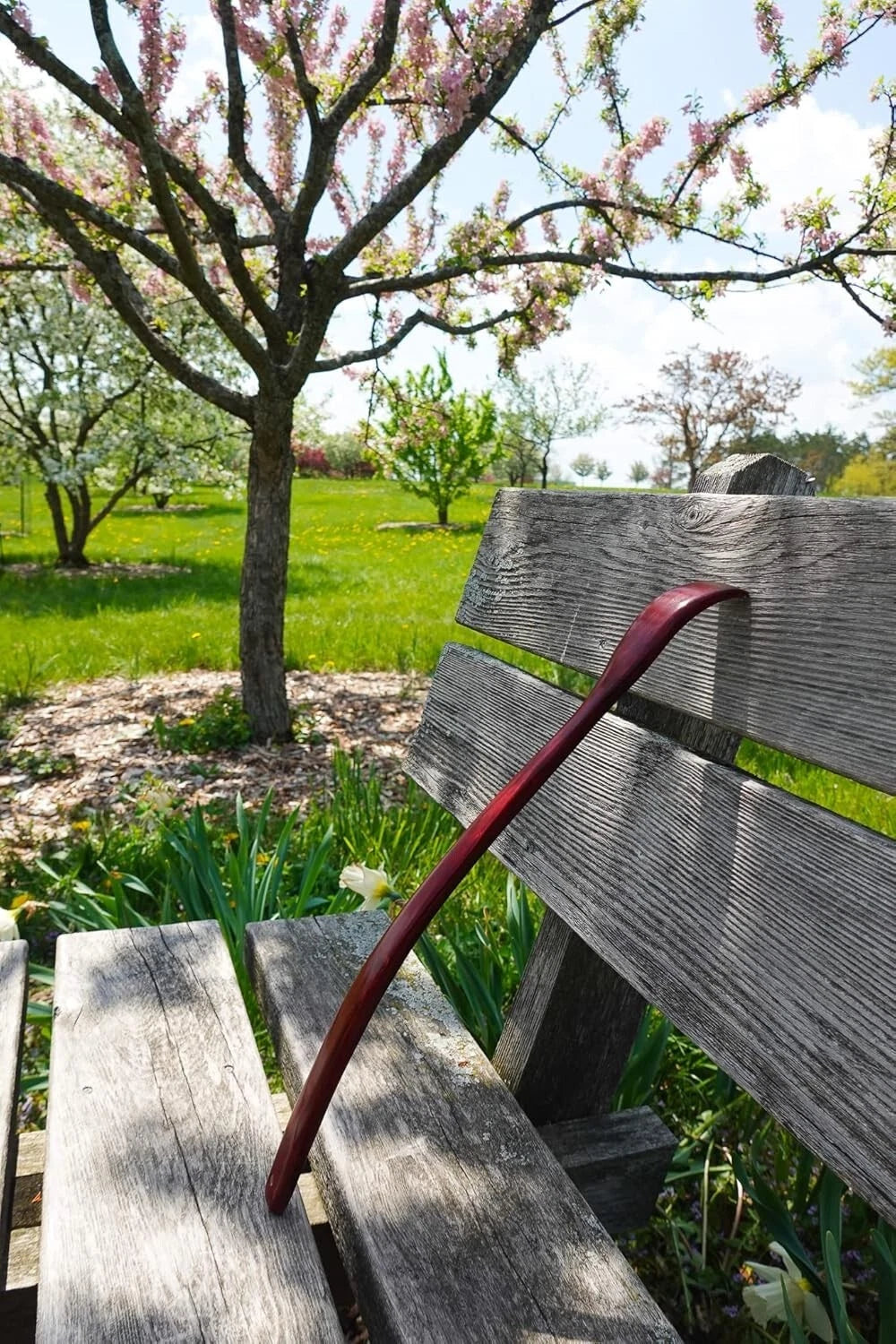 Oversized Wooden Back Scratcher: 18'' Extended Curved Handle for Better Reach, H