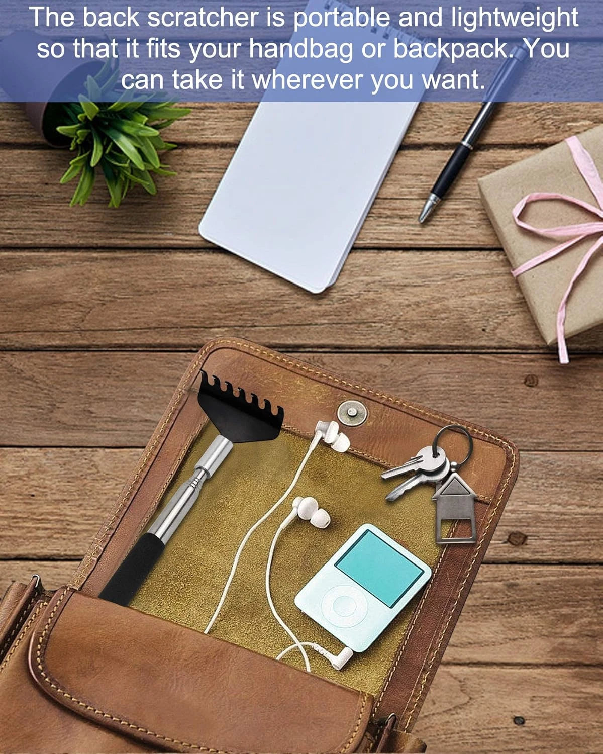 Portable Extendable Back Scratcher, 2 Pack Metal Telescoping Backscratchers for