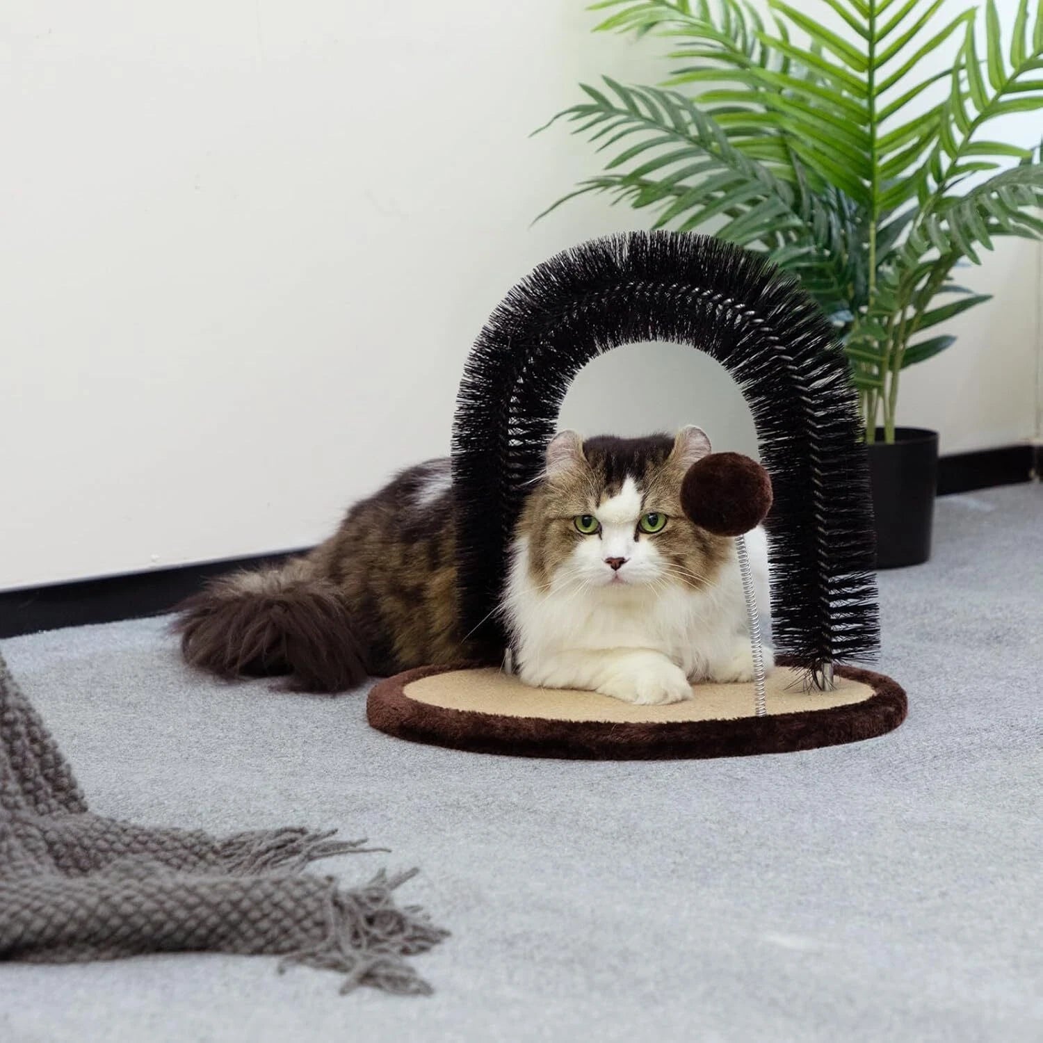 Cat Hair Brush Toy with Sturdy Scratcher Pad, Arch Groomer Massager, Self Gro