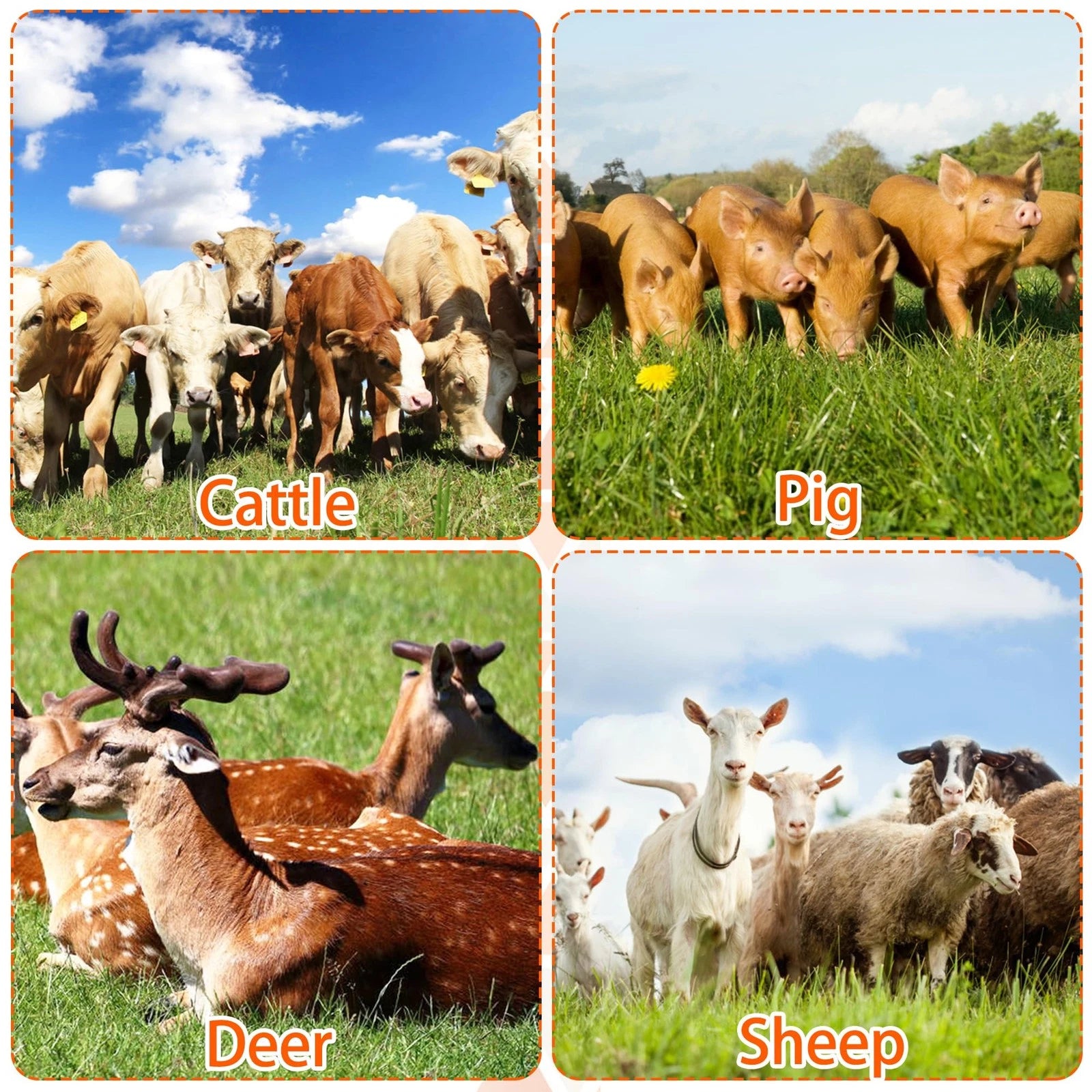 Livestock Scratch Brushes, Horse Scratcher Full Massage Brush Kit for Relievi...