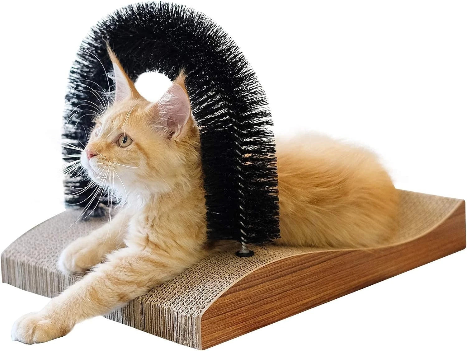 Cat Grooming Massager and Scratcher for Kittens and Small Dogs