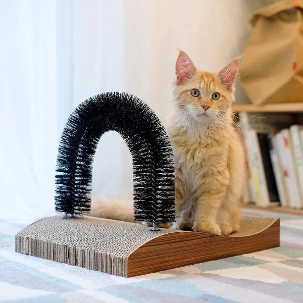 Cat Grooming Massager and Scratcher for Kittens and Small Dogs