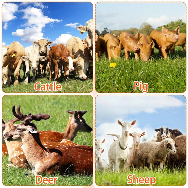 Livestock Scratch Brushes, Horse Scratcher Full Massage Brush Kit for Relievi...