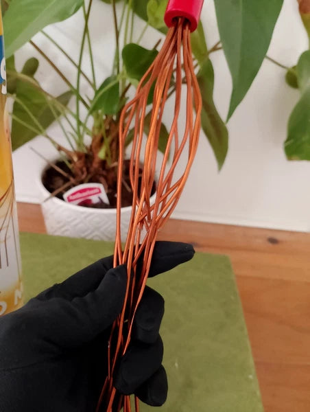 Head Wizard - Novelty Scalp Massager Scratcher - Heavens Therapy